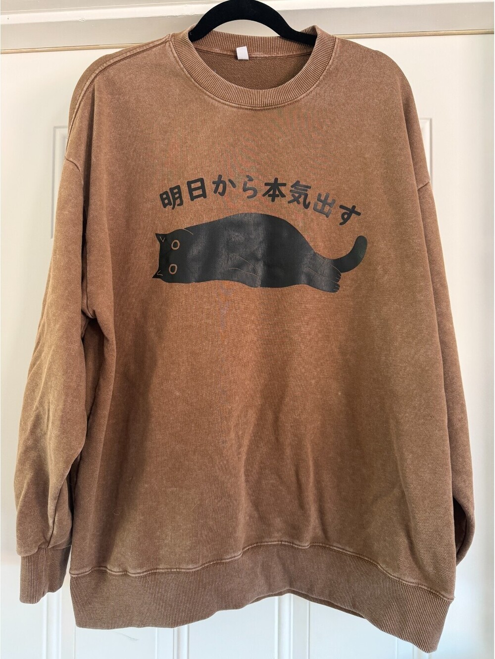 Tokyover "I'm Going To Get Serious Tomorrow" Washed Sweatshirt Brown XL